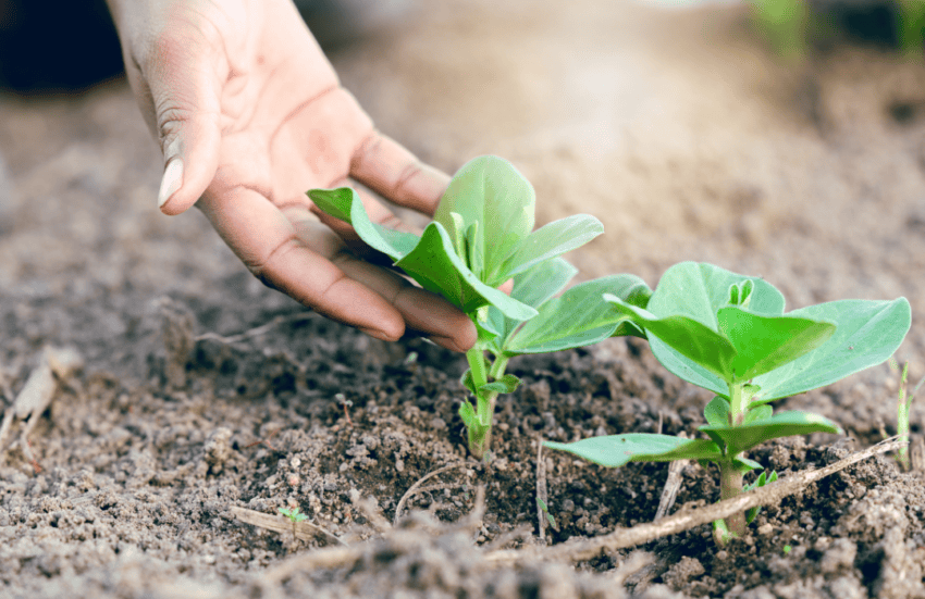 Biden-Harris Administration Announces $600M to 11 Grantmakers to Fund Thousands of Environmental Justice Projects Across the