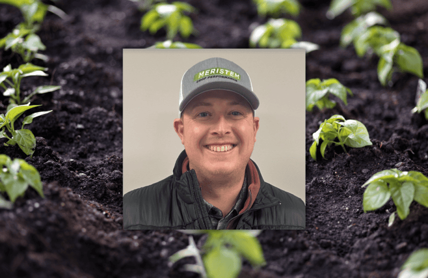 Experienced Agronomist Adam Darrington Teams Up with Meristem Crop Performance