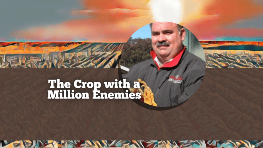 The Crop with a Million Enemies