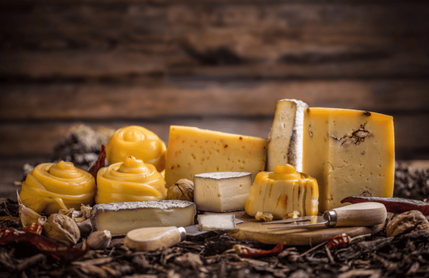 Lucknow Co-op Announces Cheese Factory Opening Along with Strong Financial Results