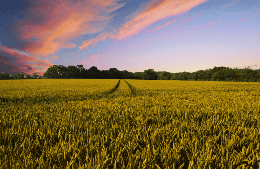 Finalists Announced for the 2023 Radicle Inclusion Challenge Presented by Nutrien