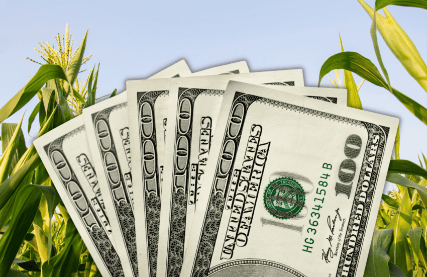 Eye on the 2023 Farm Bill
