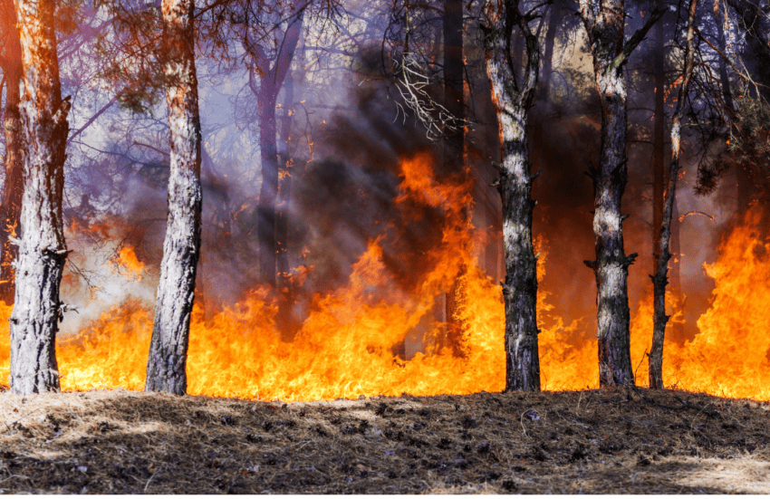Biden-Harris Administration Agencies Sign Interagency Agreement to Address Wildfire Risk