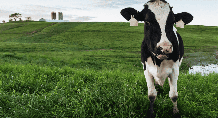 NMPF Supports Congressional Action on Infant Formula