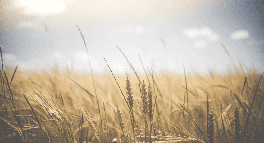 Share Ideas: Fertilizer Emissions Reduction Target