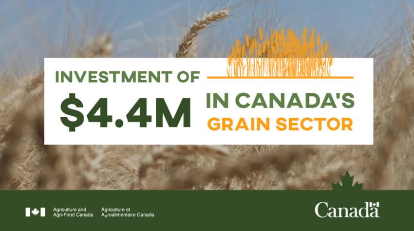 Government of Canada invests $4.4 million to increase access to Canada’s high-quality grain products