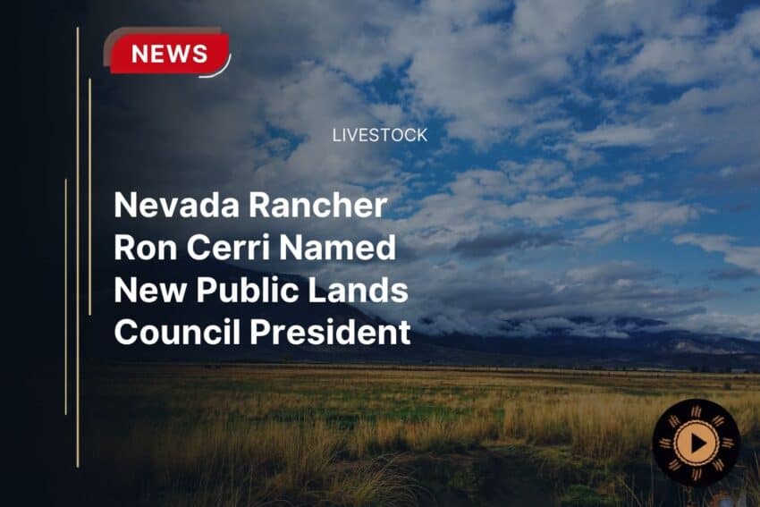 Nevada Rancher Ron Cerri Named New Public Lands Council President