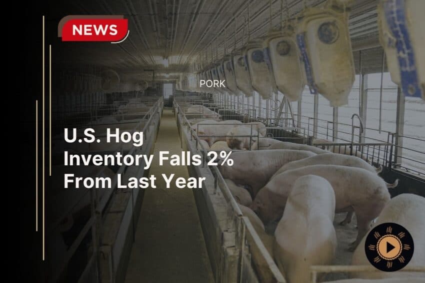 U.S. Hog Inventory Falls 2% From Last Year