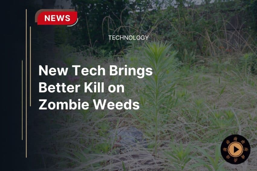 New tech brings better kill on zombie weeds